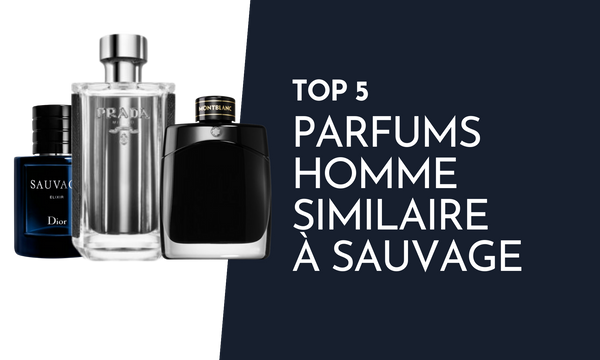 TOP 5 des Parfums homme similaires au Sauvage de Dior